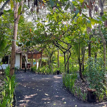 El Campito Lodge 阿亚姆佩 外观 照片