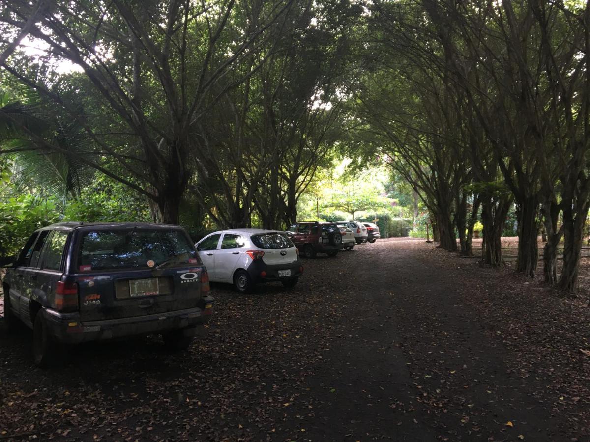 El Campito Lodge 阿亚姆佩 外观 照片