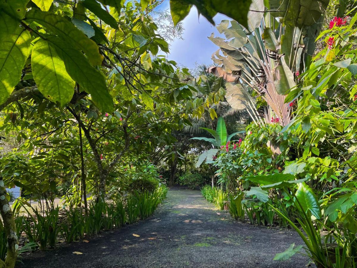 El Campito Lodge 阿亚姆佩 外观 照片